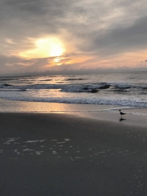 Morning Sunrise on the beach