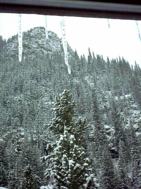Mount Royal in Winter