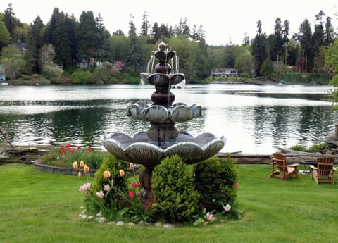 Fountain in owner's backyard (guest access)