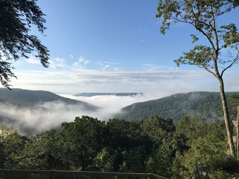 stunning view from the back porch
