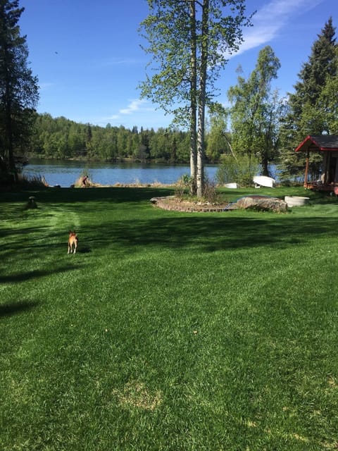 Summertime on the lake