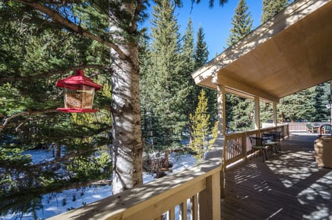 Porch area outside Master Bedroom