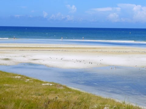 view from kitchen deck