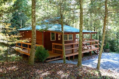Beautiful Wooded Setting at Wolfcreek Cabin.