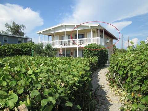 Unit #3 top right condo directly on the beach