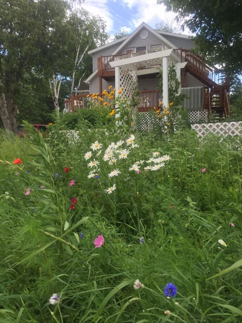 House facing the water
