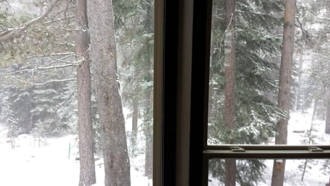 Play in the snow at the back of our condo or take a walk/sled on the golf course