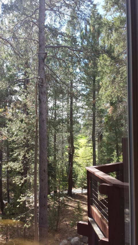 View out of dining room window to the 18th green of Tahoe Donner golf course.