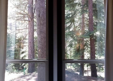 Looking out the back bedroom window