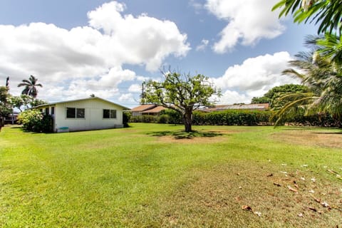 Back of the house expansive green grass and tropical foliage and avocado tree