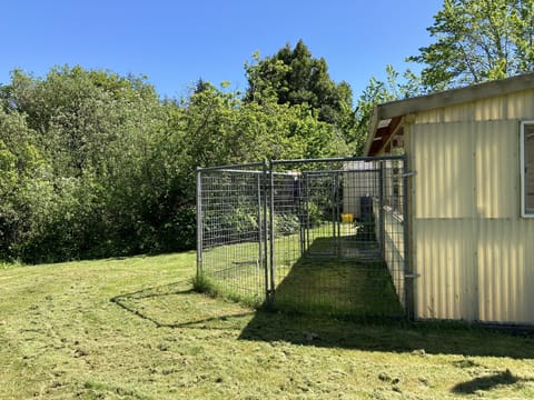 Small dog run for Rover 
