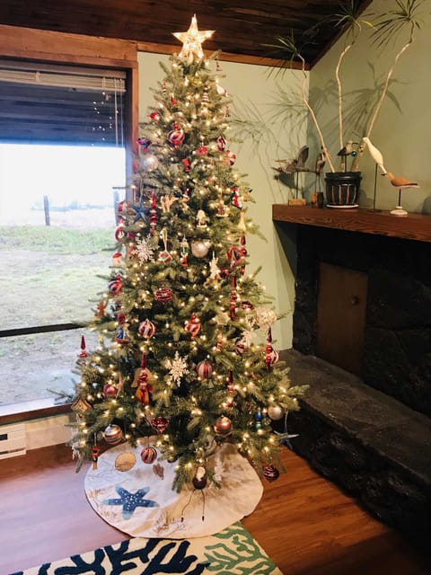 Decked out for the Holidays!
