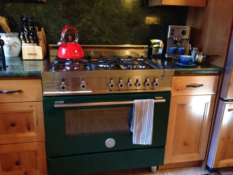 5 burner Italian Gas stove and oven