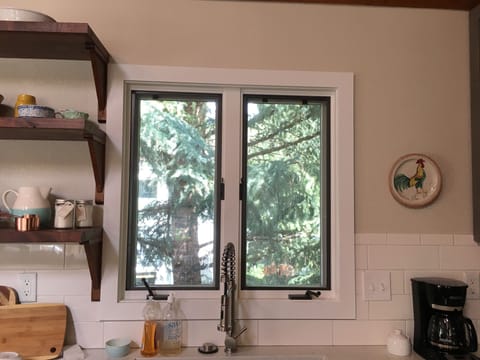 Kitchen window