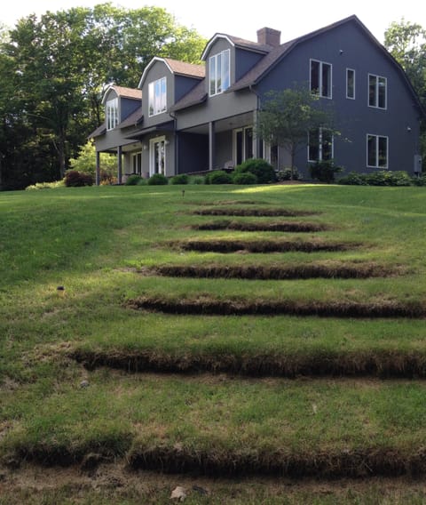 Unique landscaping around the house including these grassy steps.
