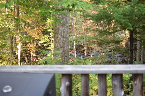 View from the lower deck.