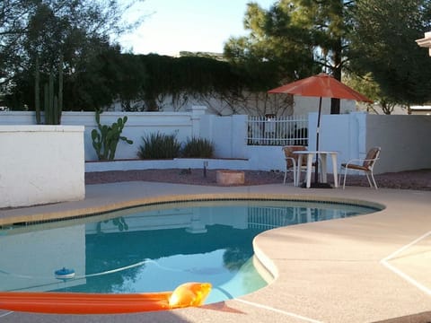 Large back yard with pool