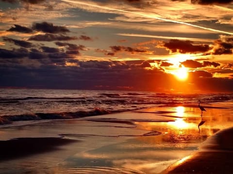This photo was taken at sunset on the beach directly across the street from us!