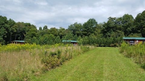 3 cabins on the property