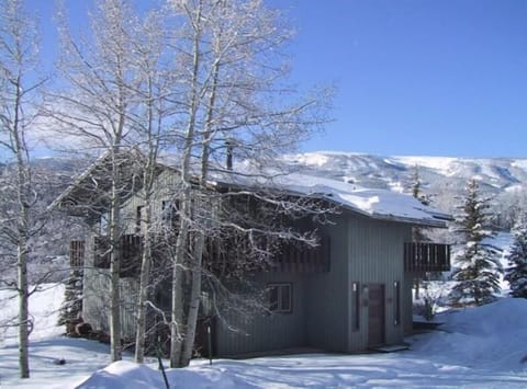 Snoke Chalet