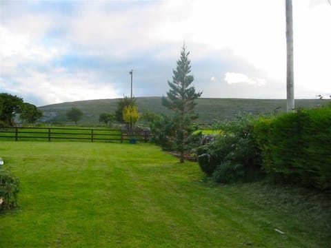 Out back up to our acre of land, with Sequoia tree and Burren mountains in back.