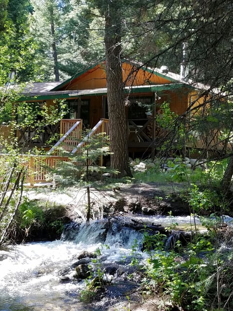 The Cabin  from the stream side.  The sound of the water  alone is heavenly.