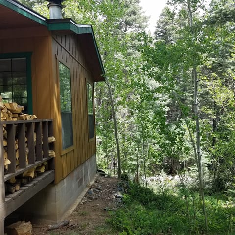 A side view -- the only neighbors here are trees!