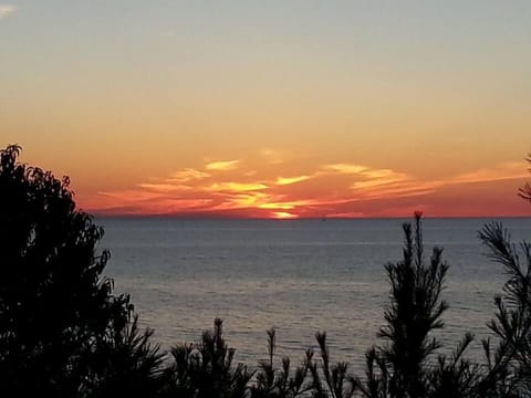 Sunset from the brick patio.