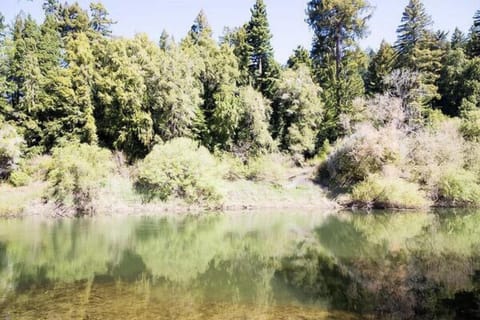 View from beach