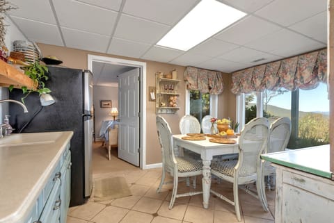 Kitchenette downstairs , close proximity to fire pit