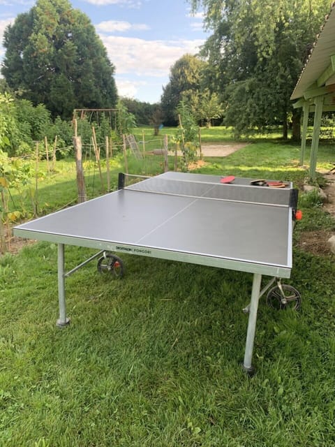 Play a round of ping-pong next to the vegetable garden
