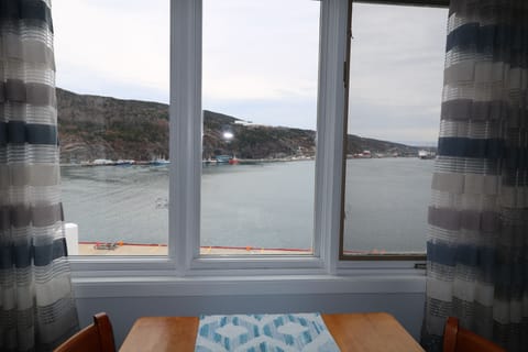 That view!