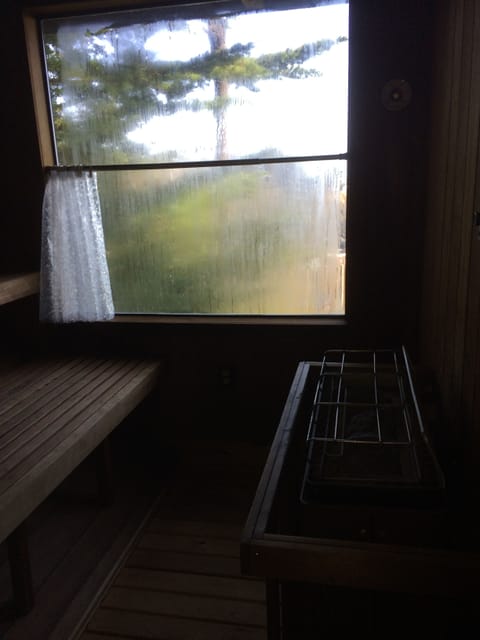 Sauna Window