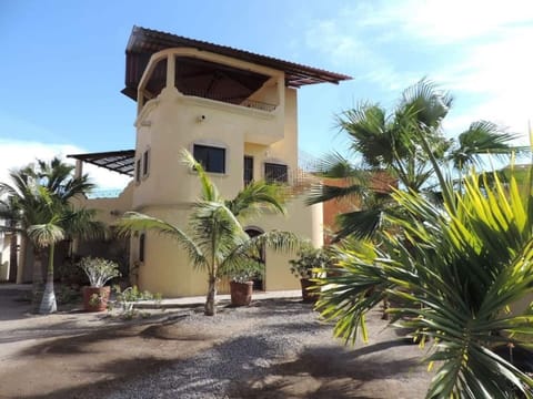 Lovely Casa de Perla with many palm trees in the yard, coco, royal & fan palms