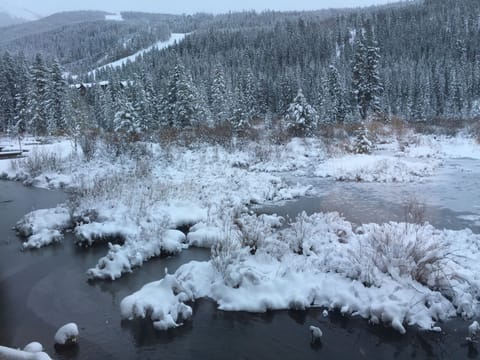 View from living room