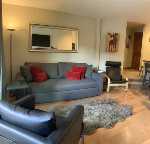 Living room with brand new queen sleeper couch from room and board