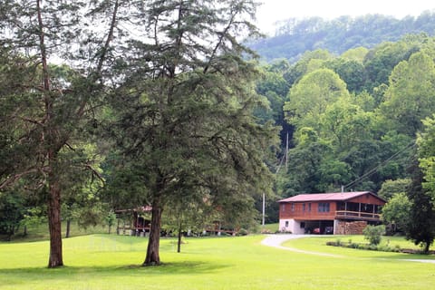 Stepping back for a look