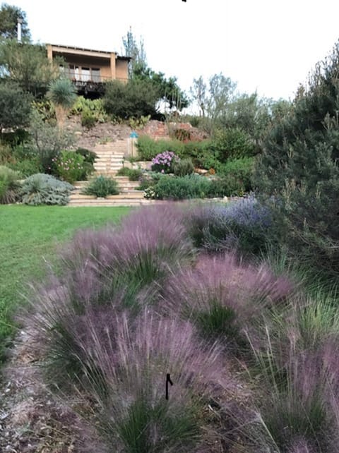 House on the Hill
