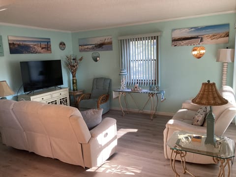 New Family Room Furniture and Flooring