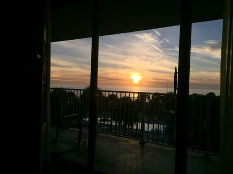 Sunset sitting on sofa in living area... taken in October 'Ginger at the Dunes'.