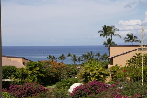 Ocean view from the lanai.