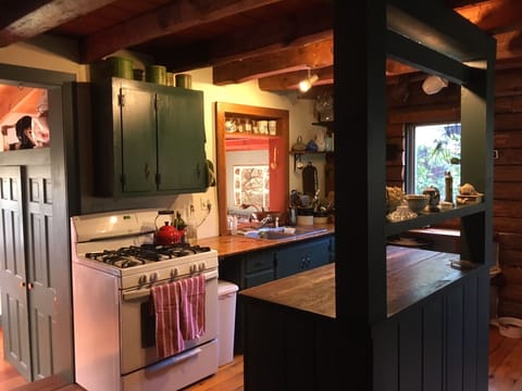 The kitchen island features a barn door and counter from a wide cut trunk