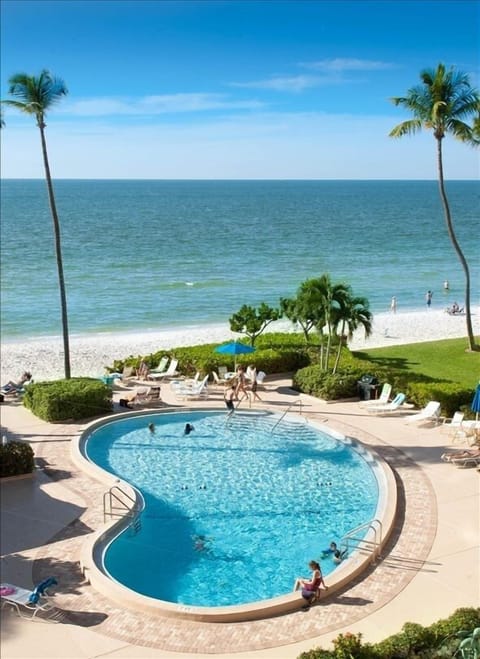 Heated pool overlooking the Gulf - view from lanai!