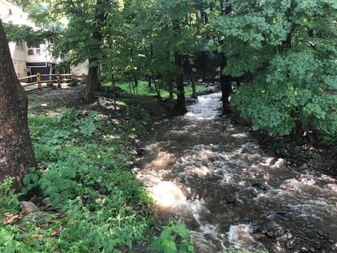 Seasonal Creek Just Outside Your Private Entrance