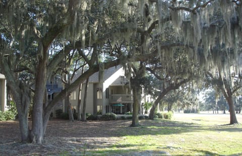 Exterior of back deck
