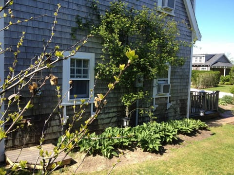 North-facing side of house.  NOTE: Outdoor shower on left.