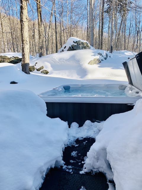 Hot tub for 8!  Heated mat keeps snow and ice away, and feet warm. 