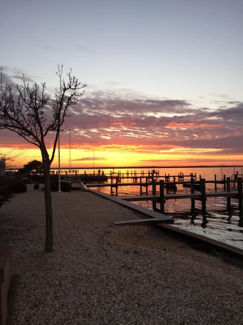 Spectacular sunsets in your own backyard!
