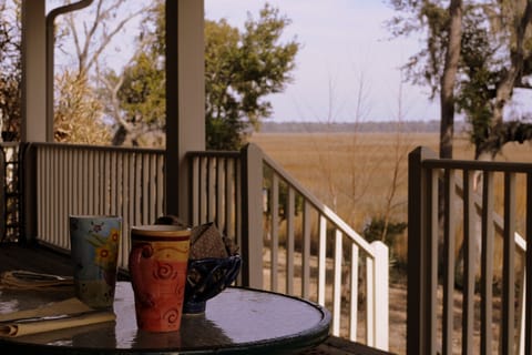 The back porch at low tide. In summer, the brown marsh grass is bright green.