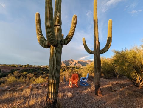 View from back porch